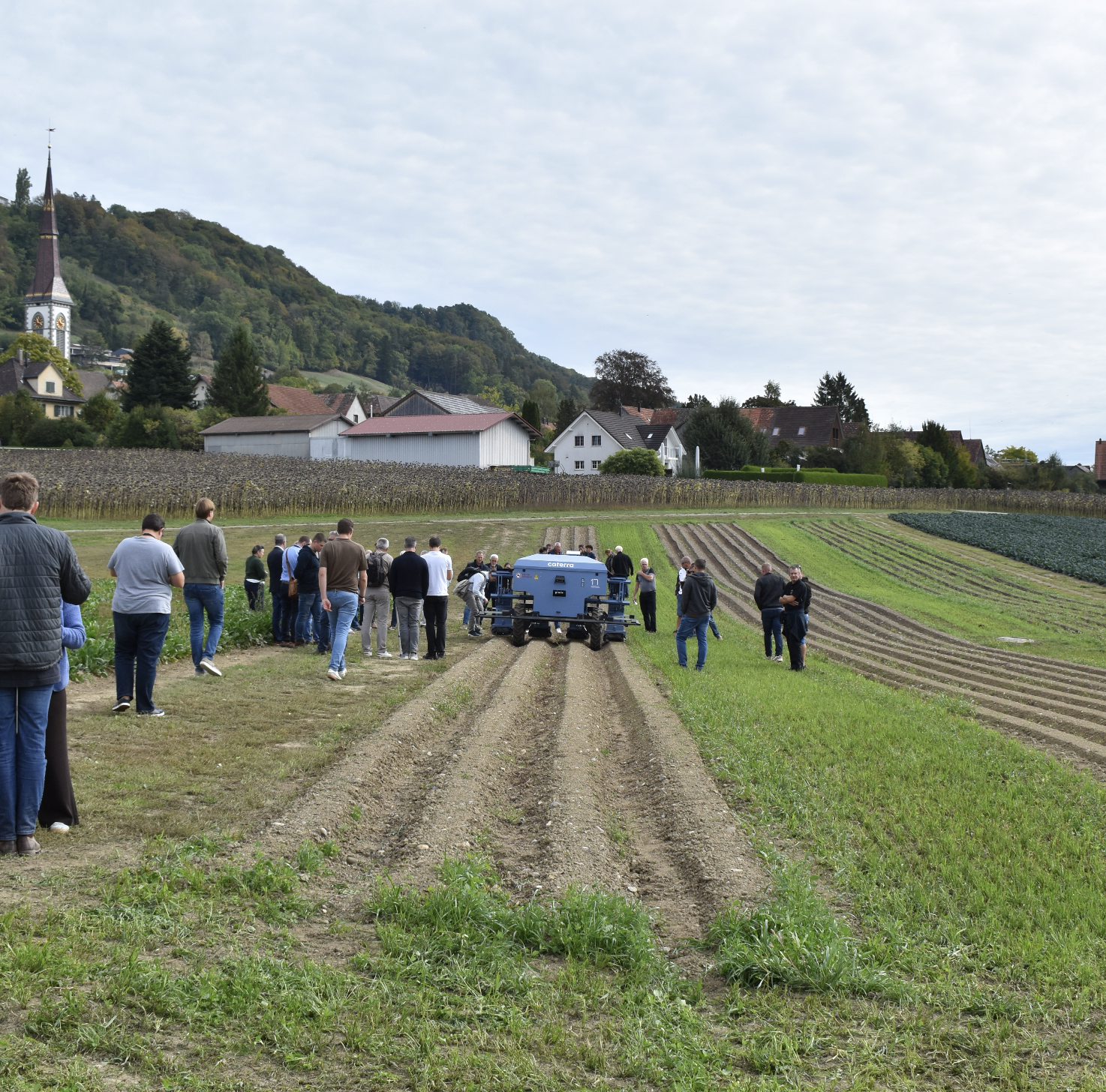 Bildschirmfoto 2026-09-30 um 09.31.32 Gamper Gemüsekulturen AG